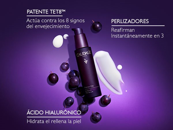 anticaida