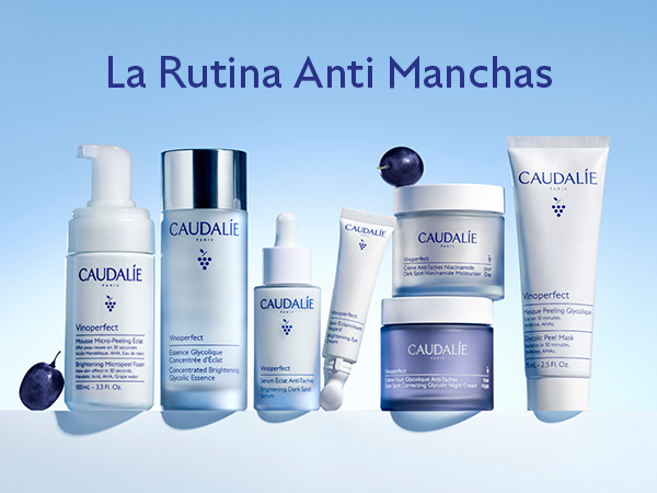 anticaida