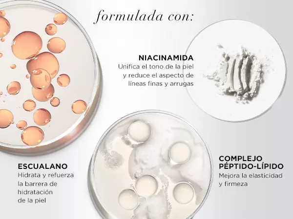anticaida