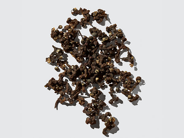 anticaida