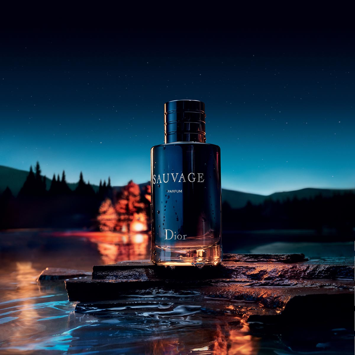 SAUVAGE PARFUM 100 ML