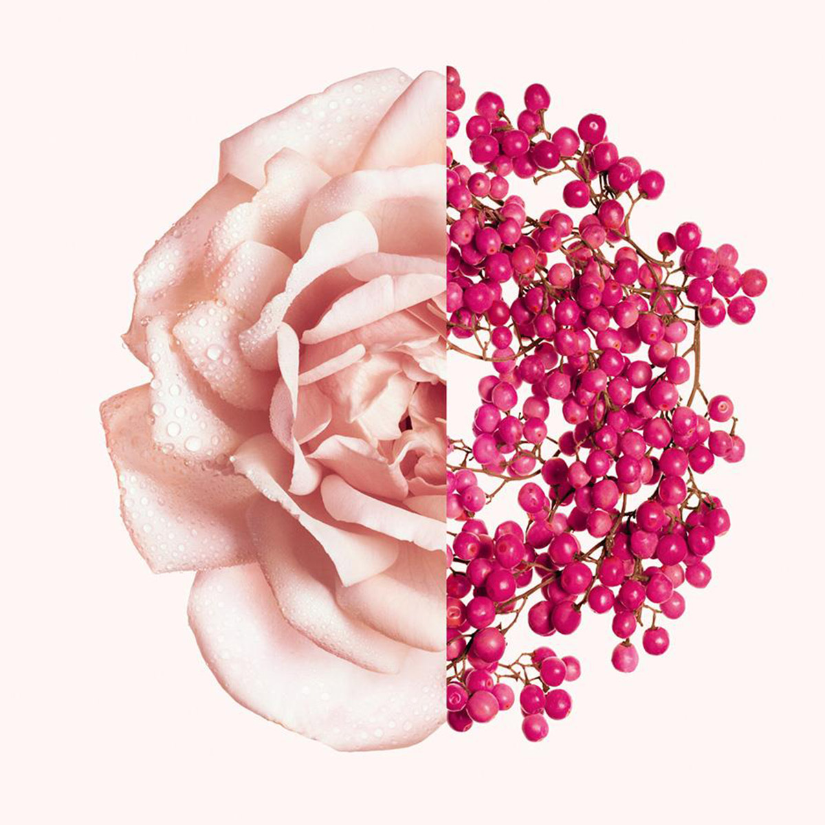 PERFUME PARA MUJER IRRESISTIBLE EAU DE TOILETTE FRAICHE