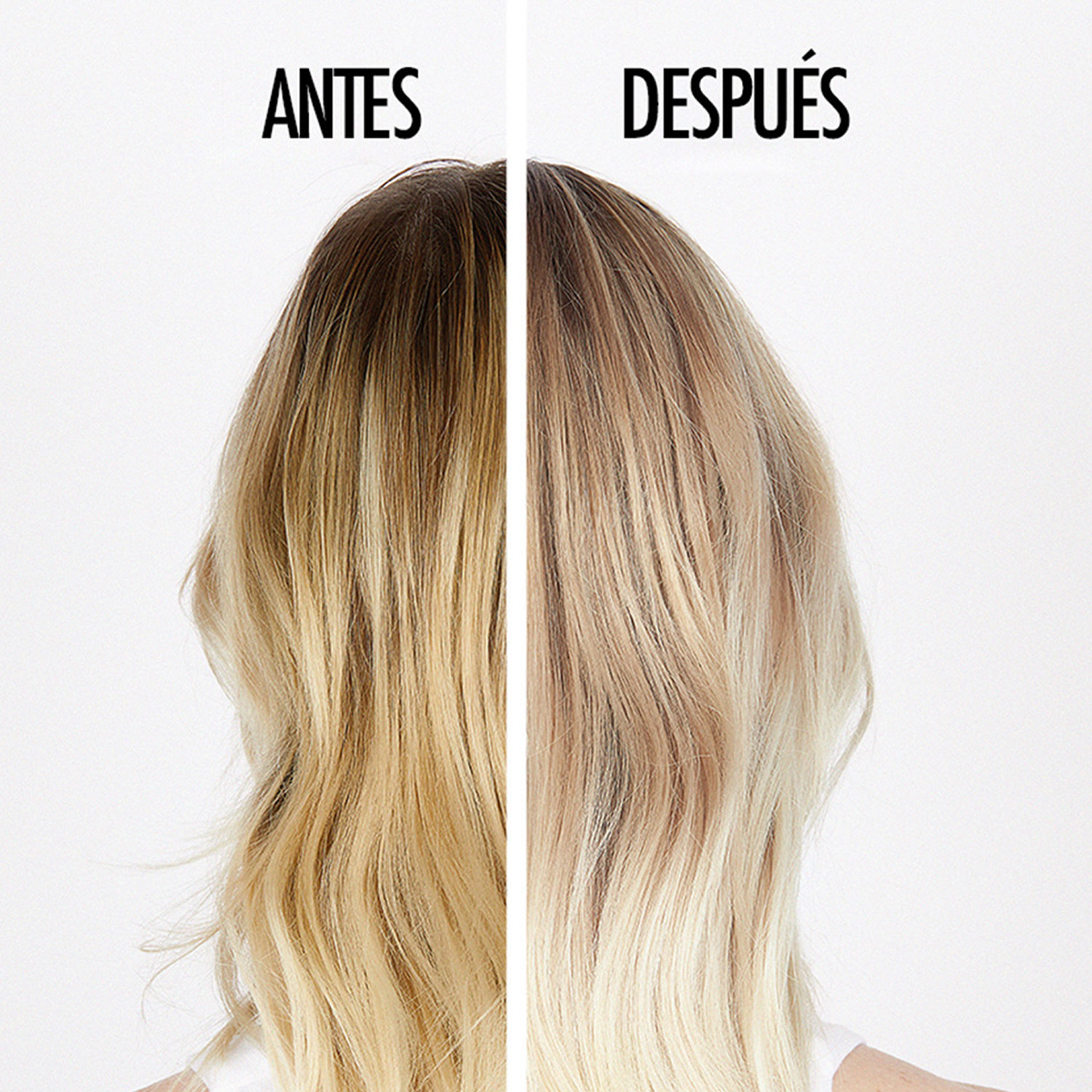 SET BLOND ABDOLU (RUTINA PARA CABELLO RUBIO)